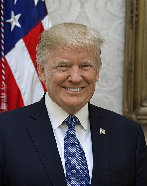 File:Donald-trump-portrait.jpg